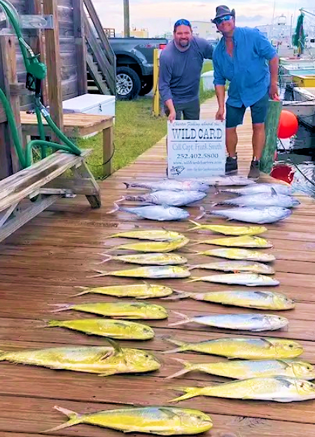 Two Wild Card anglers behind their mahi and tuna OBX catch. Two anglers behind mahi and tuna catch.